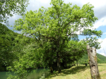 DSCN7904-m