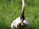 DSCN7971-m