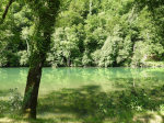 DSCN8094-m