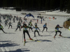 pokljuka1